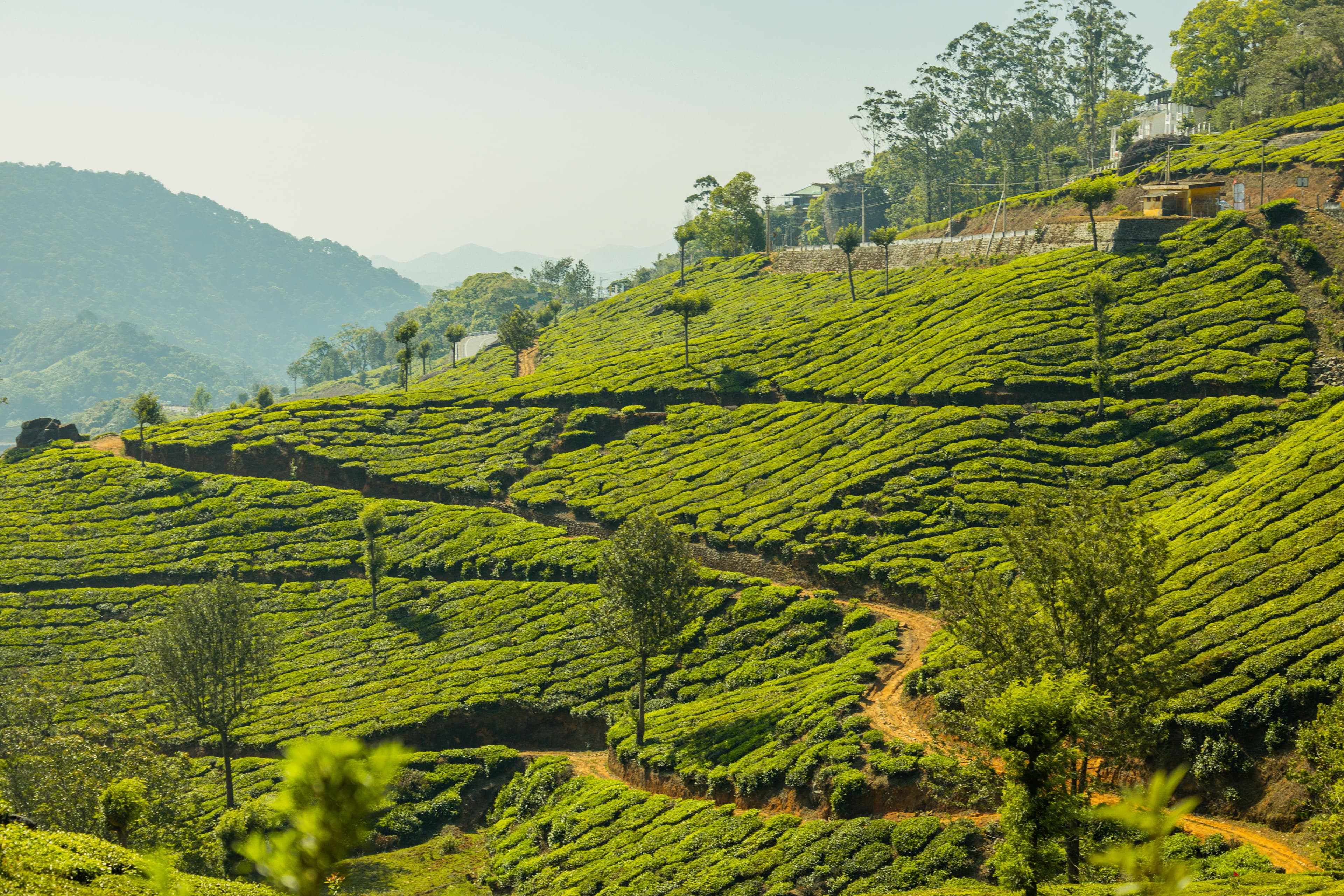 Munnar