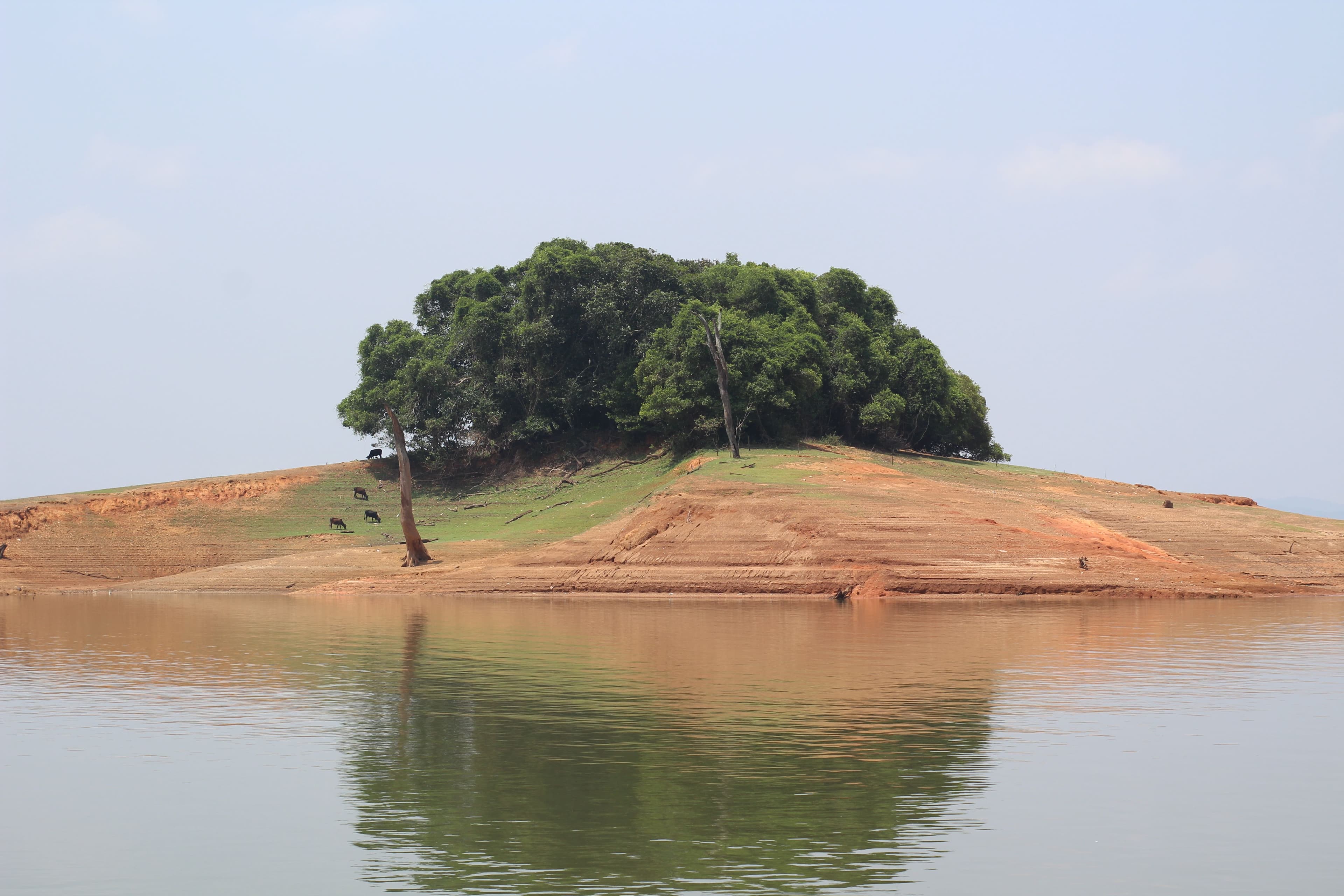 Thekkady