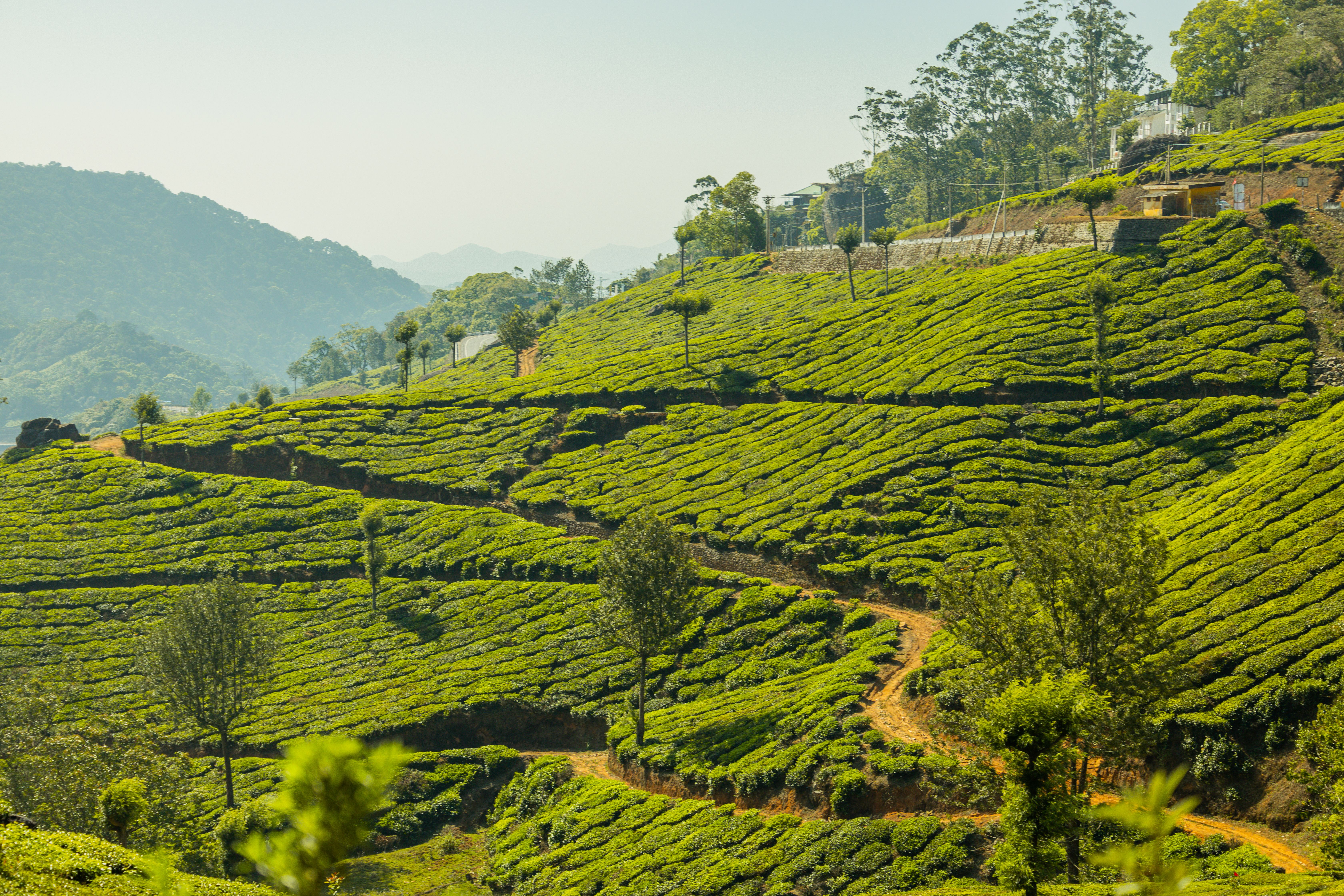 Kerala Classic